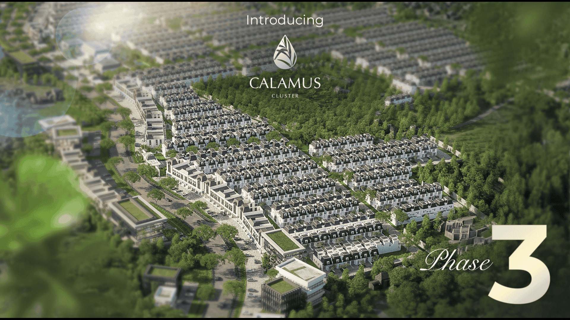 Calamus
